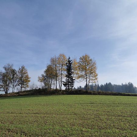 Kindererlebnis- Und Biobauernhof Hipp-Bruckner Wornharts Экстерьер фото